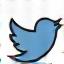 Twitter icon